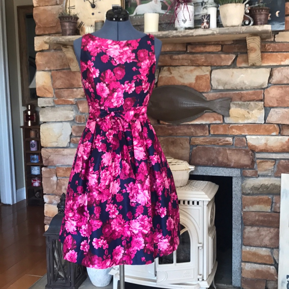 New vintage inspired pink & navy floral dress sz 4